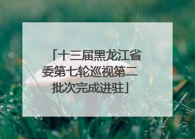 十三届黑龙江省委第七轮巡视第二批次完成进驻